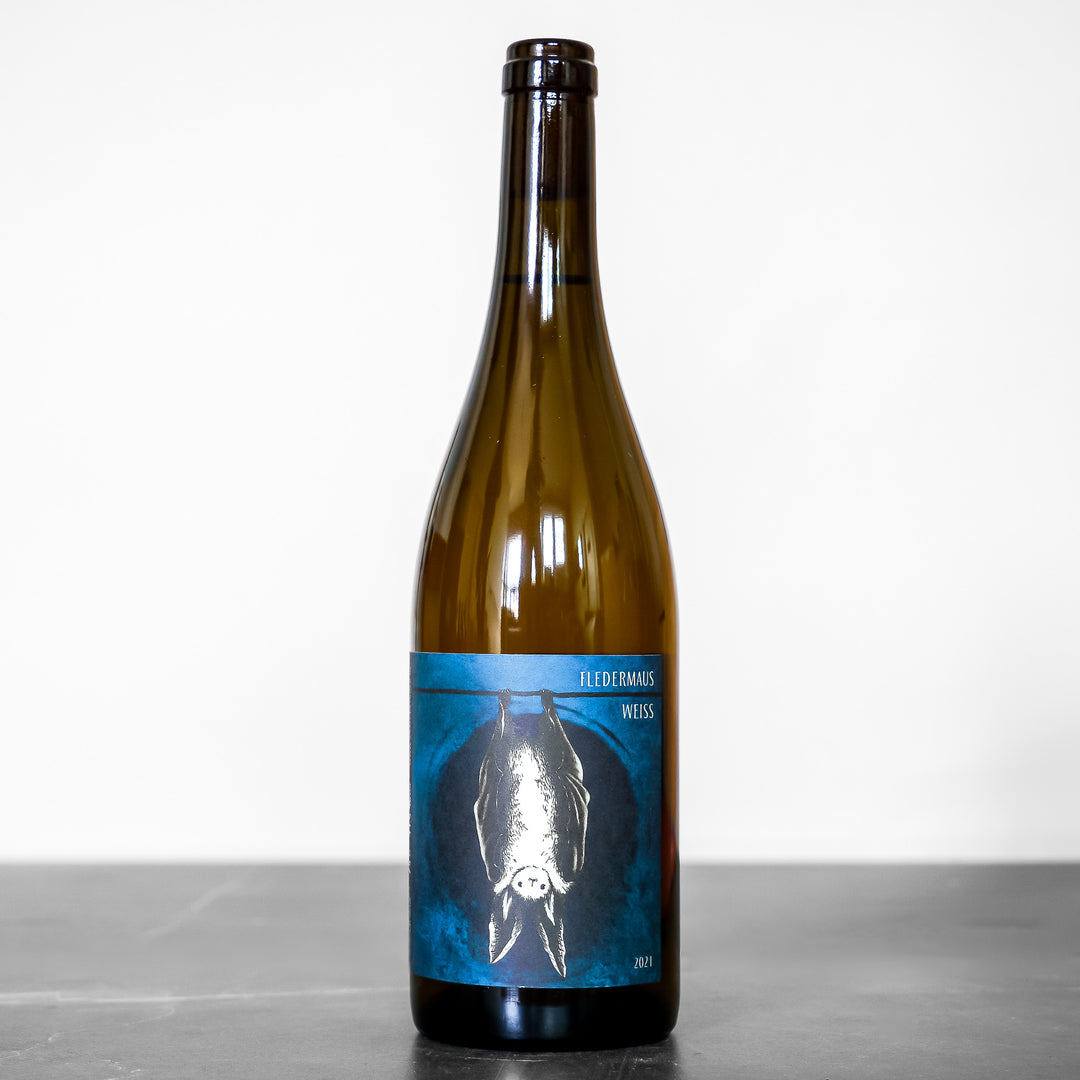 Fledermaus Weiss