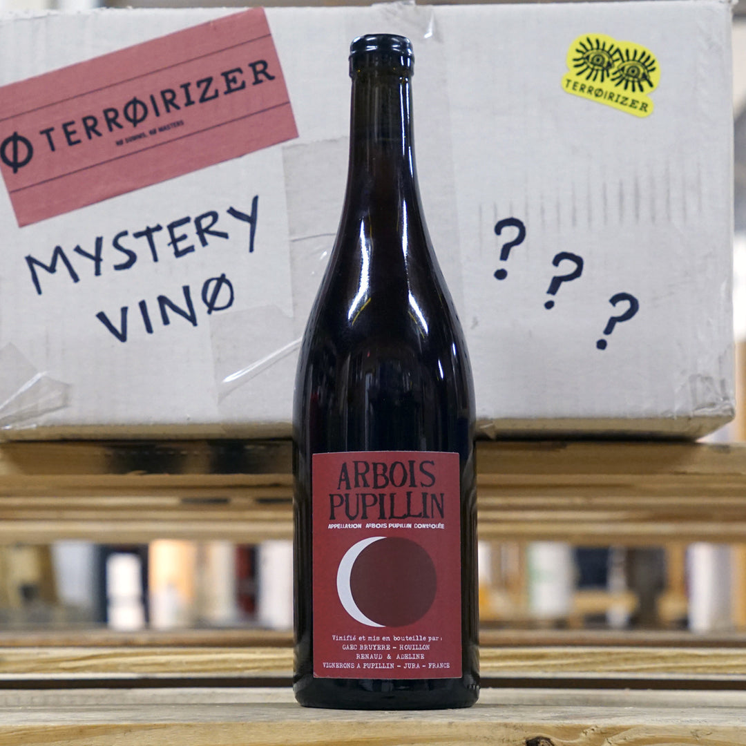 Renaud Bruyère & Adeline Houillon Trousseau 2020 "mystery" 12-pack (read description)