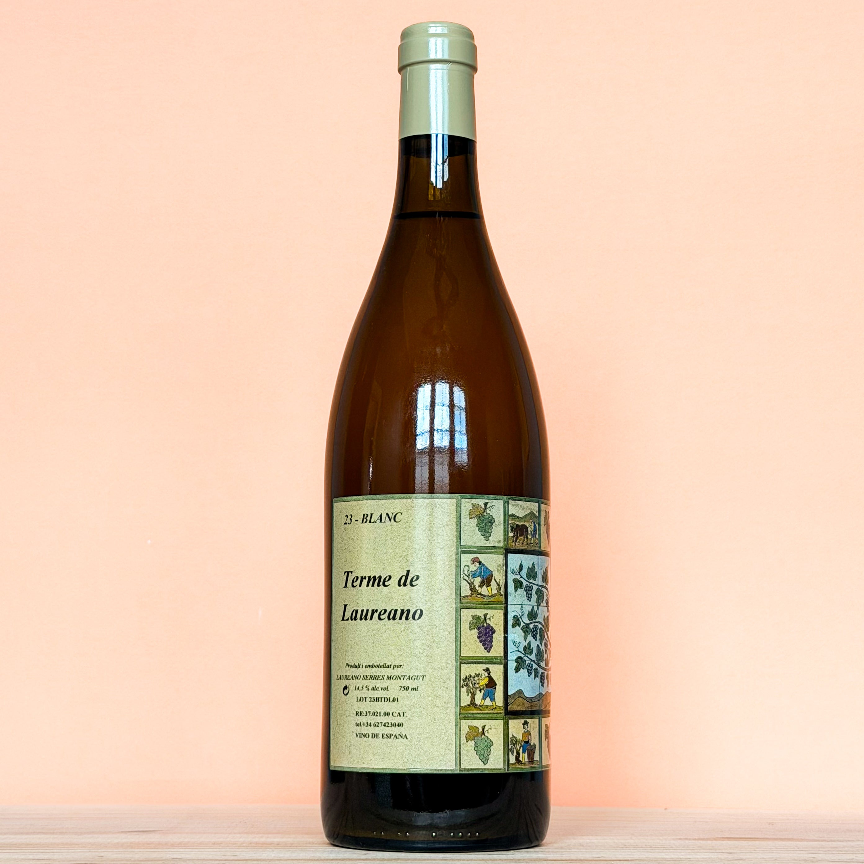 Mendall - Terme de Laureano Blanc 2023 - Terroirizer Wine
