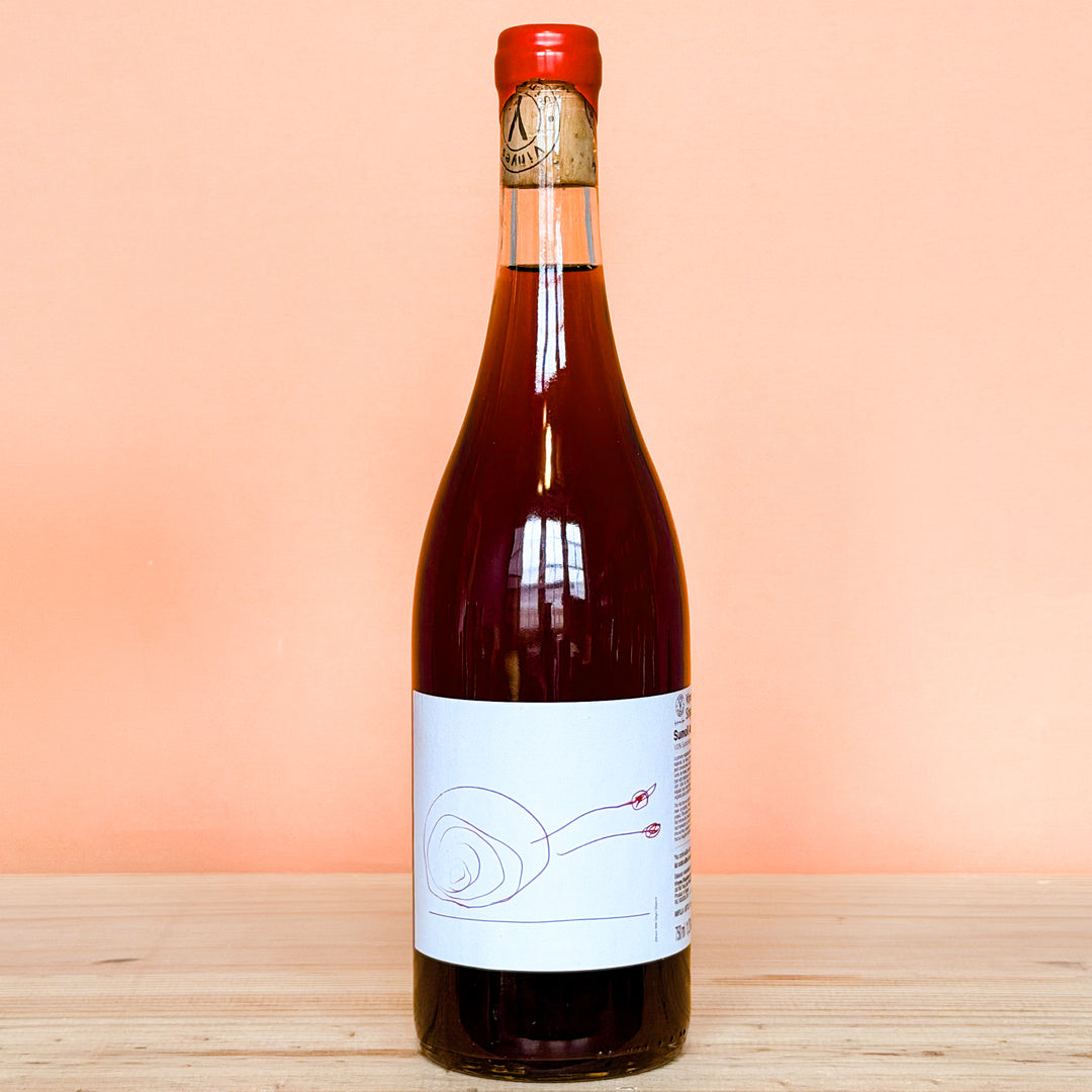 Sumoll Rosat Amphora