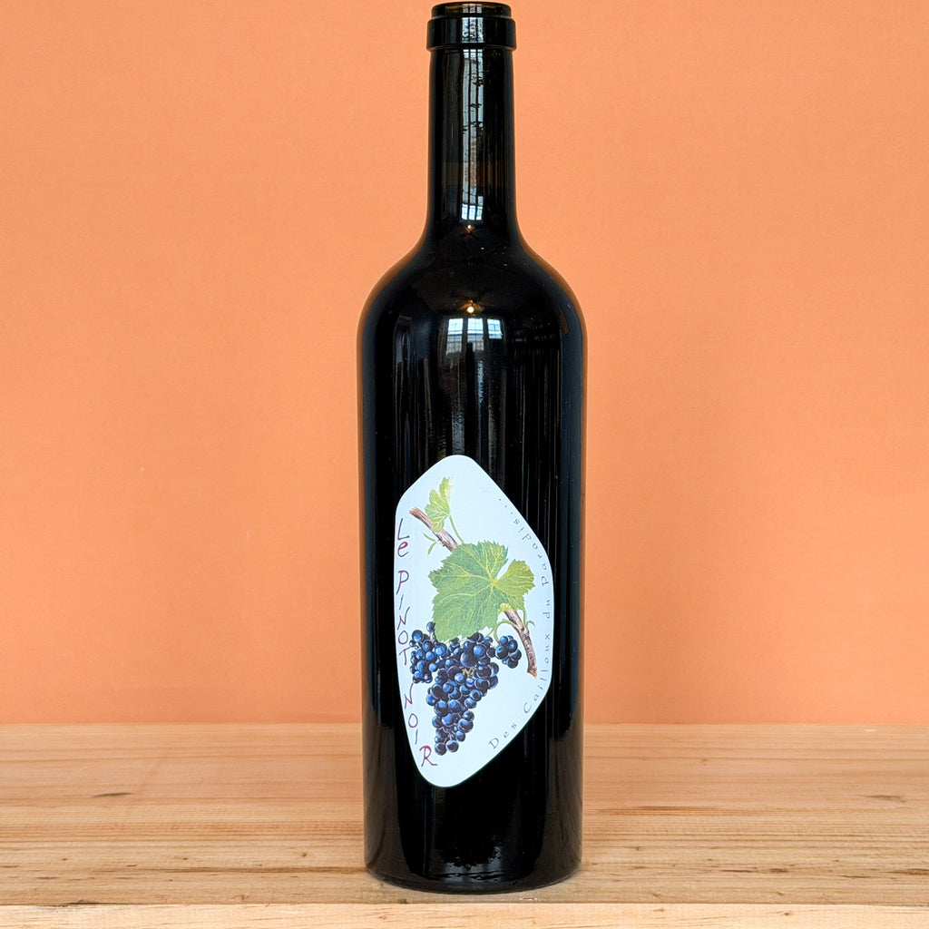 Claude & Etienne Courtois - Le Pinot Noir 2023 - Terroirizer Wine