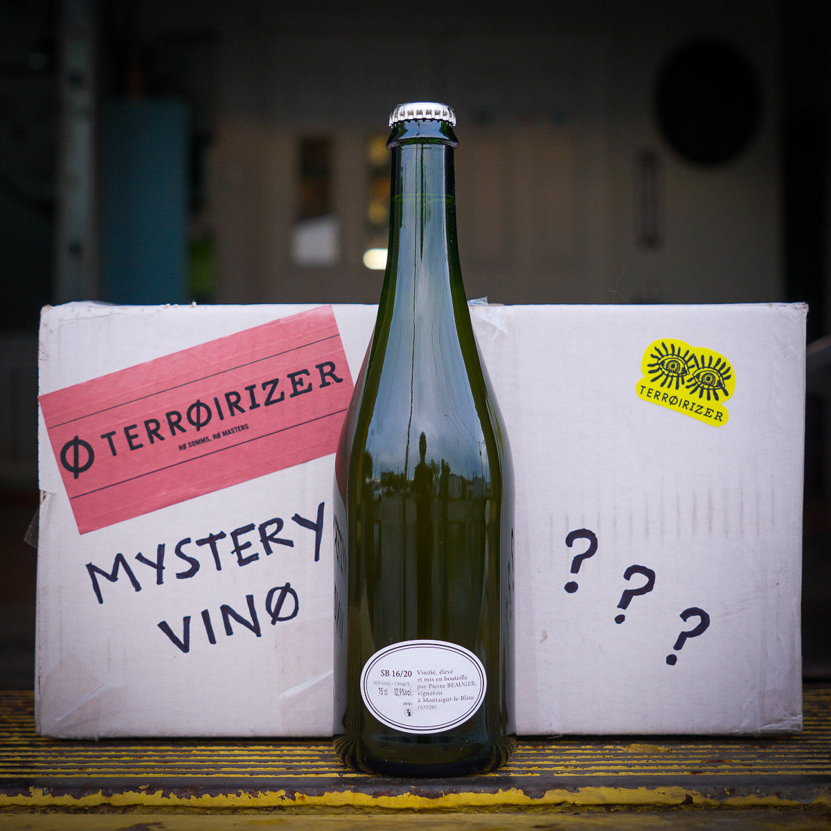 Pierre Beauger - SB 16/20 Mystery 12-pack - Terroirizer Wine