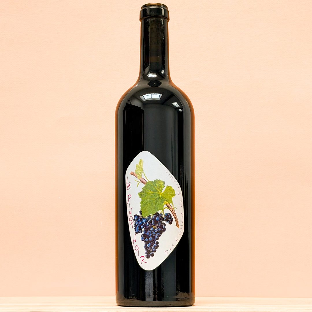 Le Pinot Noir